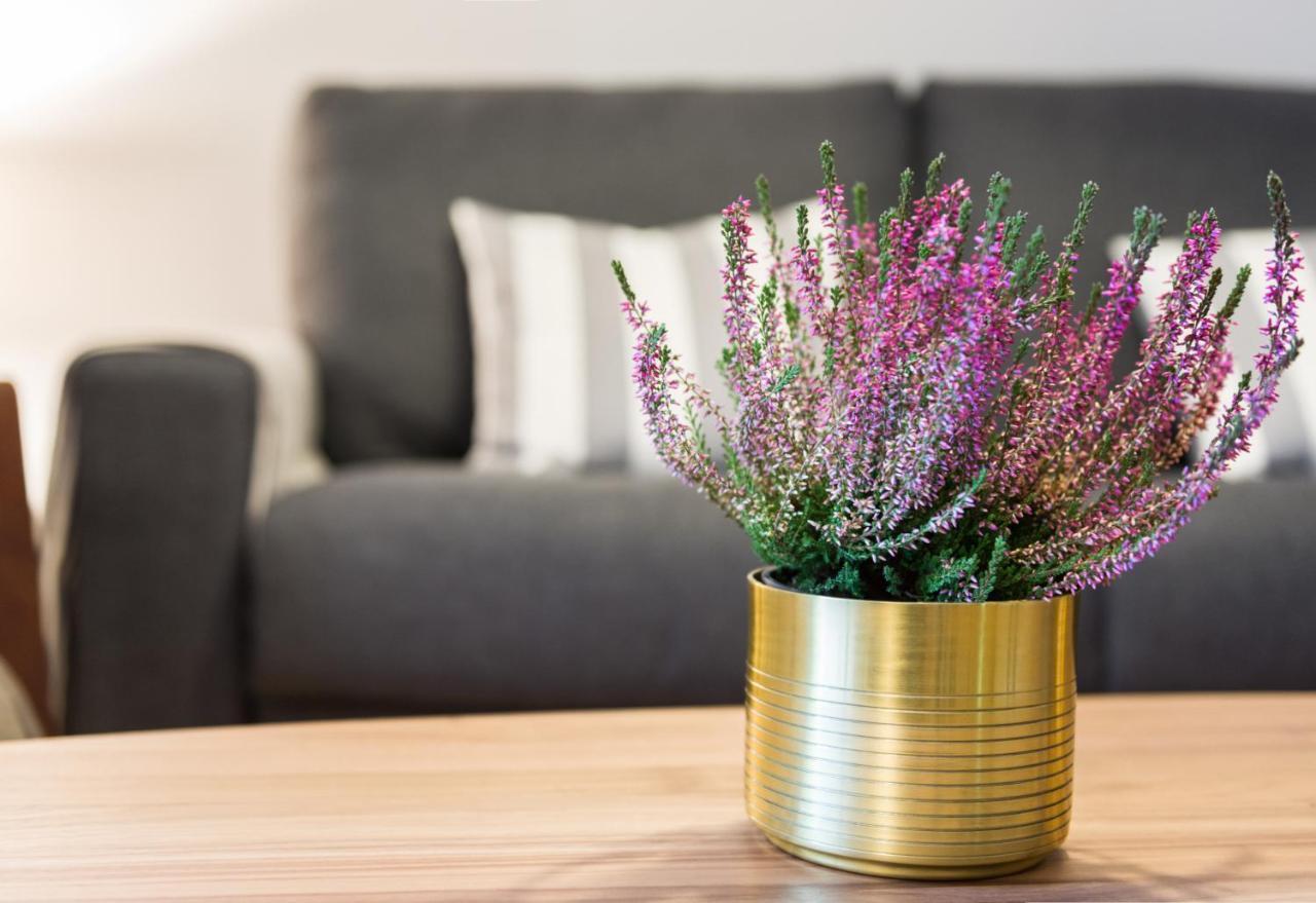 La Casa Gris Apartment ตูเดลา ภายนอก รูปภาพ